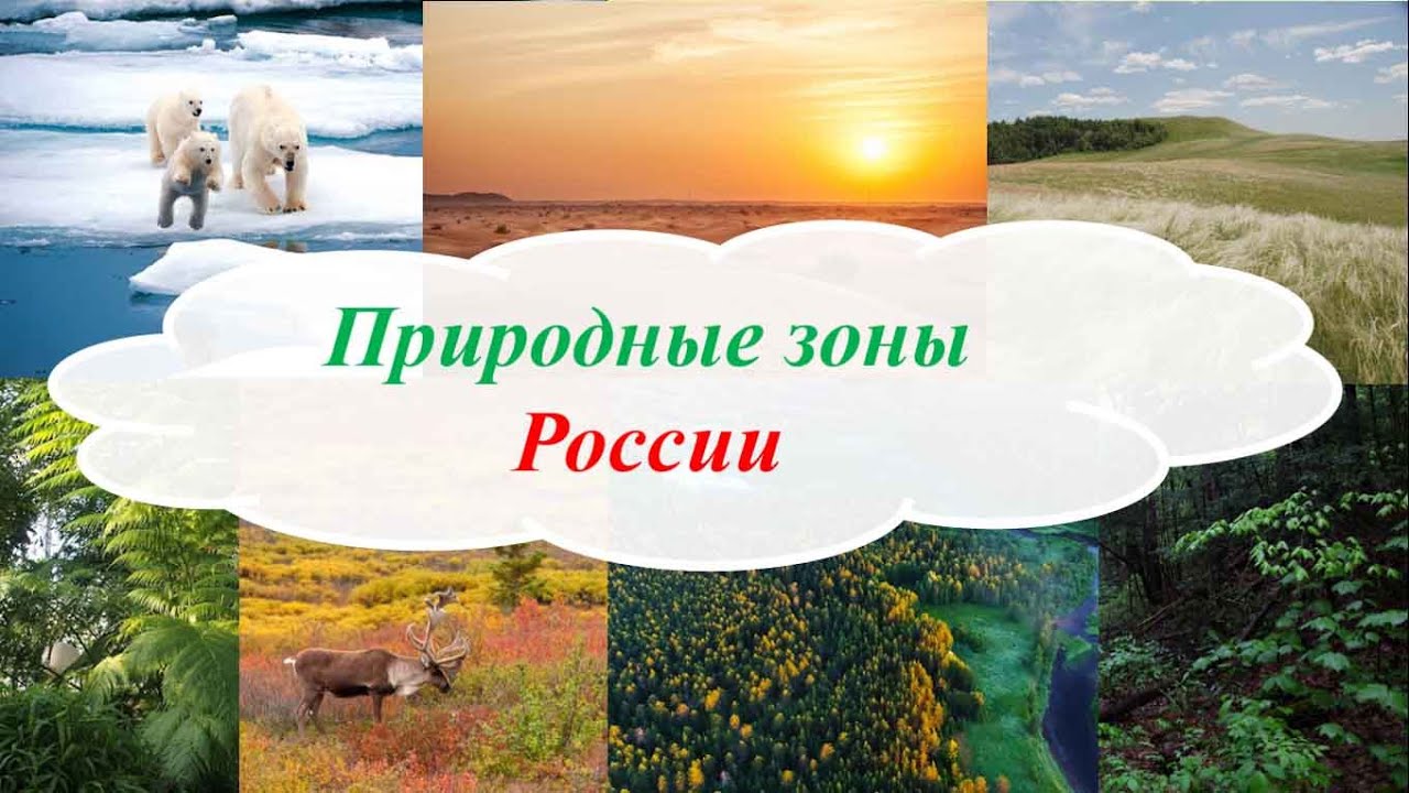 Растительность природных зон земли 7 класс биология. Природные зоны земли. Путешествие по России 4 класс природа. Природные зоны 4 класс окружающий мир видеоурок. Климатические зоны земли 4 класс видеоурок.